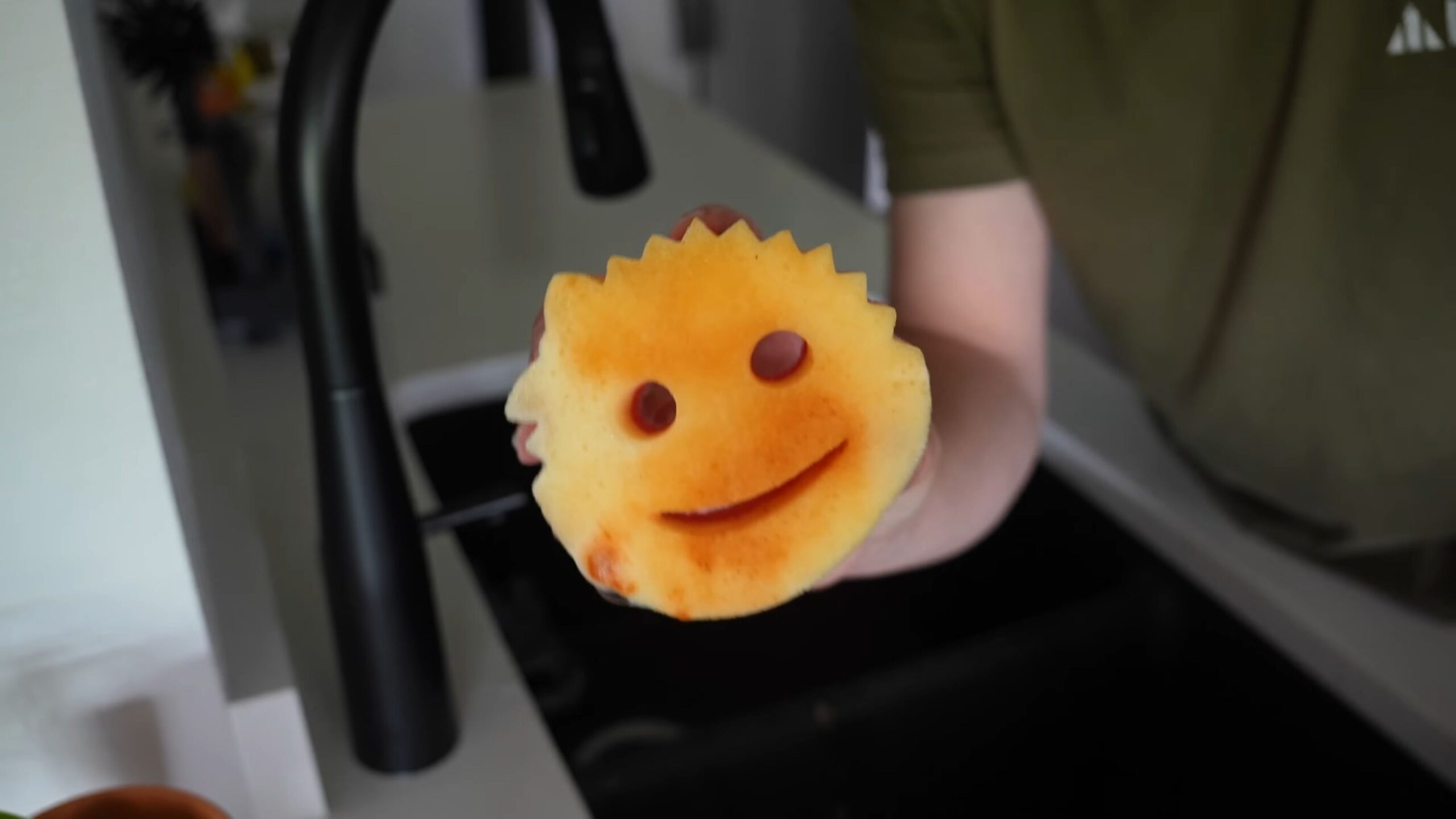 Scrub Daddy Anwendungen
