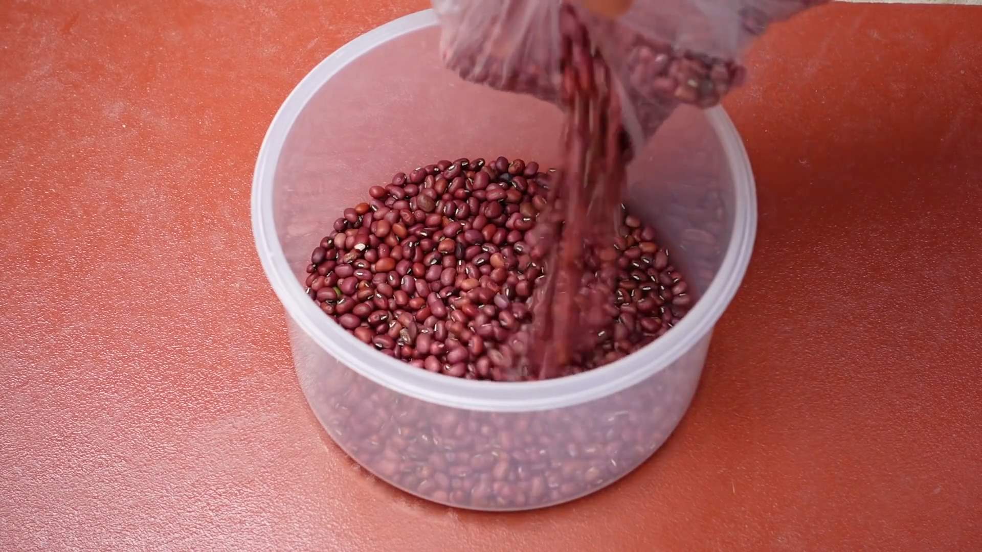 Bohnensprossen selber anbauen