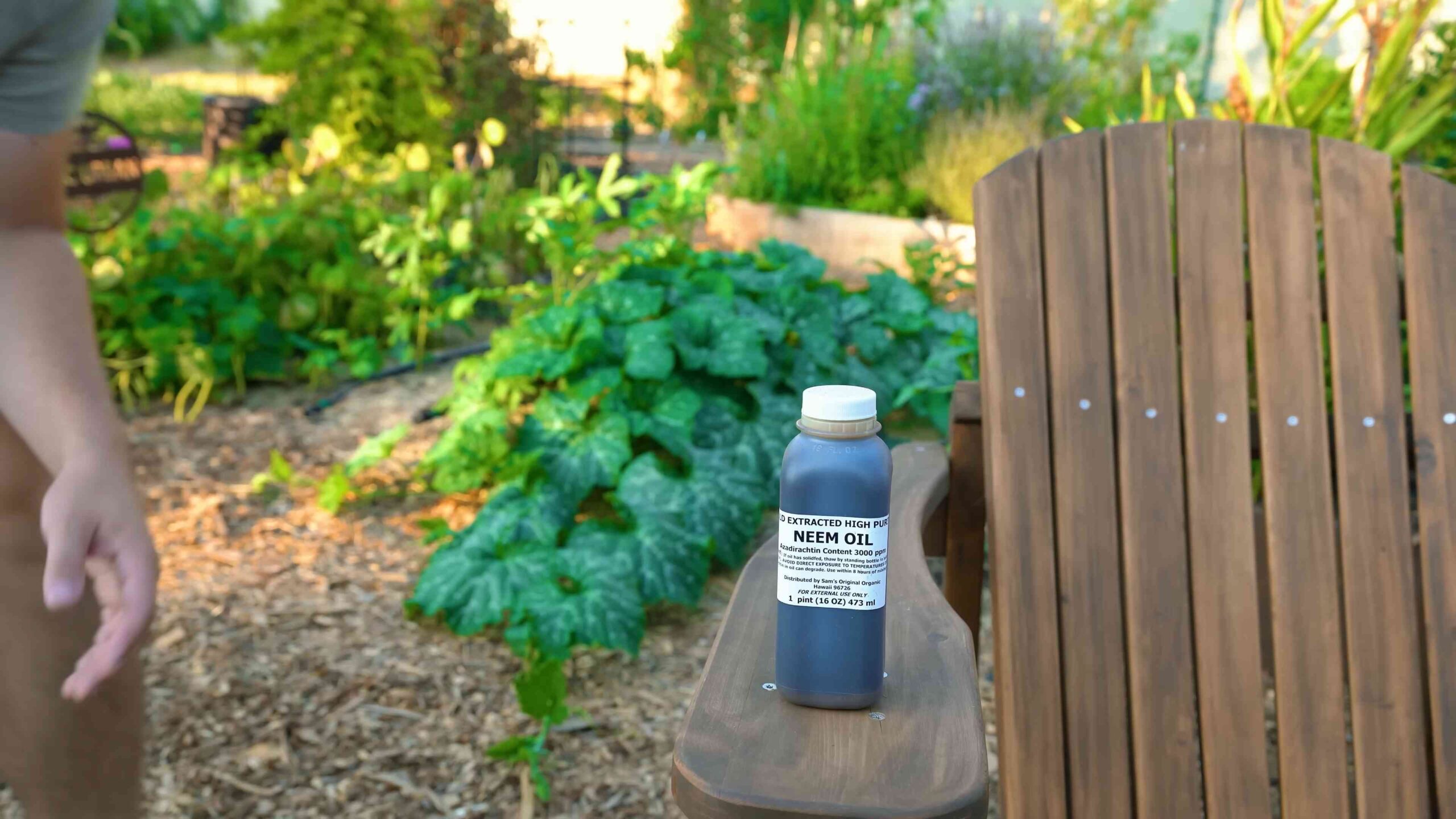 Neemöl gegen Schädlinge Garten